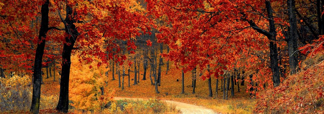 Herbst