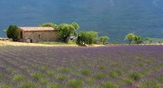 Soirée provençale